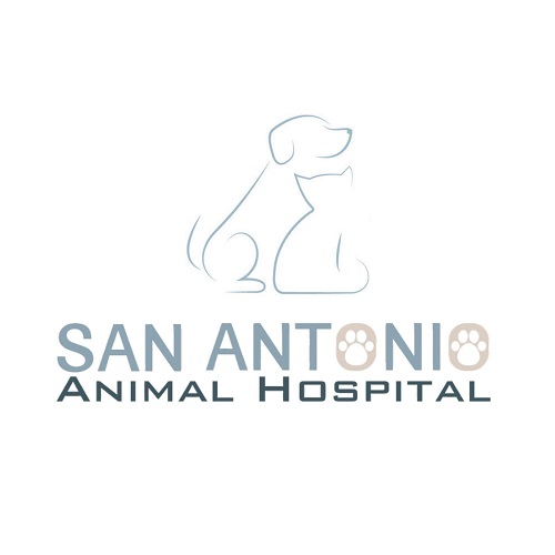 San Antonio Animal Hospital
